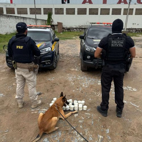 Ação integrada da PCCE e PRF resulta na apreensão de mais de 8 kg de cocaína em Várzea Alegre