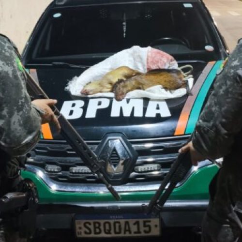 BPMA prende homem suspeito de caça ilegal
